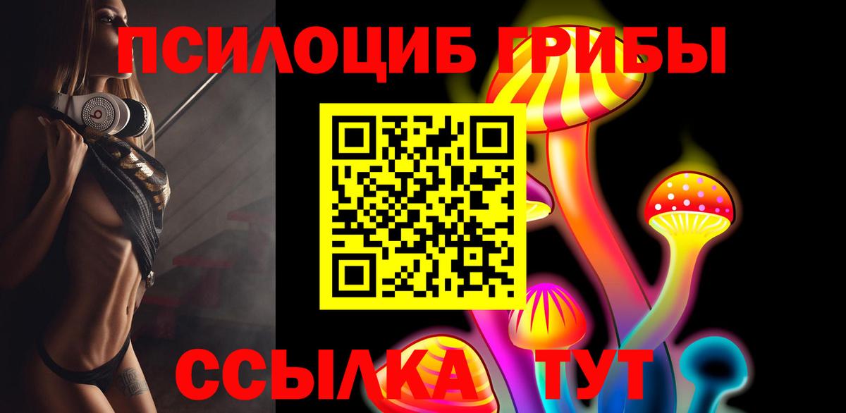 Галлюциногенные грибы ЛСД Северобайкальск